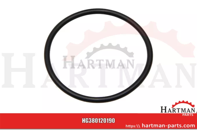 Oring R128799