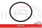 Oring R128799