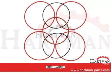 Zestaw oringów (auf der Buchse), 3 Stück (1x 380120226, 2x 38012726) 1