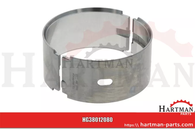 Panewka ustalająca standard, bez podkładek oporowych AR77748