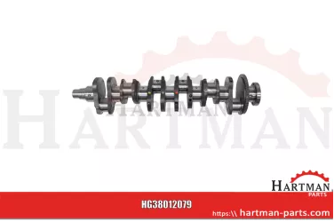Panewka ustalająca standard, bez podkładek oporowych AR77748