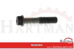 Śruba korbowodu długość: 54 mm R74194, T20009