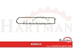 Uszczelka pokrywy zaworu R75728, R68228