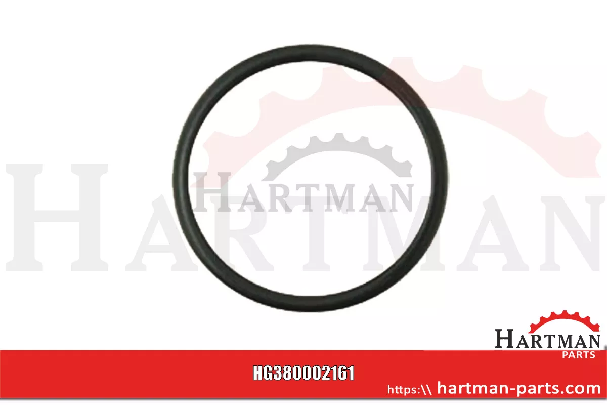 Oring T16318