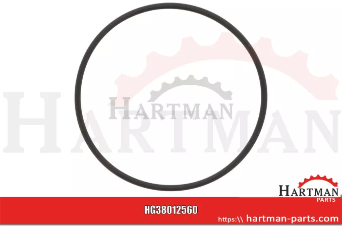Oring do wału korbowego, przód, Ø 37,5 x 40,5 x 1,5 mm H35244