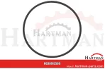 Oring do wału korbowego, przód, Ø 37,5 x 40,5 x 1,5 mm H35244
