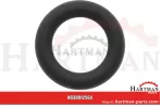 Oring 7,595 x 2,616 mm R123575