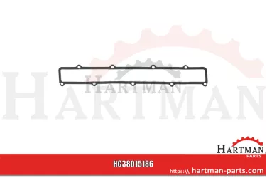 Uszczelka kolektora ssącego 738702M1