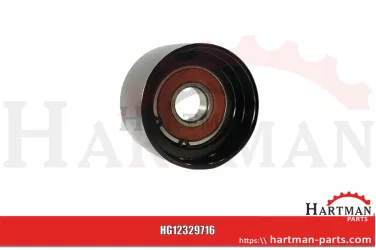 Spannrolle V837074402, V836866321, 4349418M1