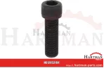 Schleifzahn-Kit (3er Pack) 132-4007