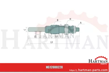 Świeca żarowa F139903020021, GV119, MJ119