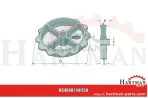 Koło Cambridge 4 szprychy 441750