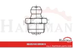 Smarowniczka z główką stożkową AM10 x 1 V 3236348