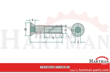 Śruba z łbem stożkowym M8x20 00861661, AC00861661