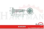 Śruba zamkowa M8x30