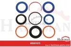 Dichtsatz für Zylinder ø50 dla cylindra Ø 50 11215, 11-215,11