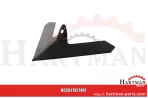 Gänsefußschar 300mm für Stiel 35x11mm na zęby 35 x 11 mm 1527401, 15-2