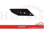 Redlica z dziobem, prawa 3334058