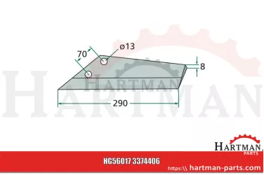 Redlica skrzydełkowa prawa 3374406