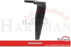Ząb prawy, HM+ 00384096,00384096