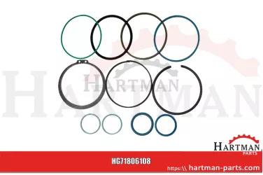 Zestaw uszczelek do siłownika F931860030010
