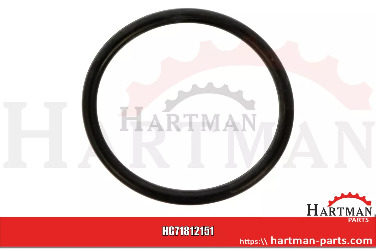 Oring T19687