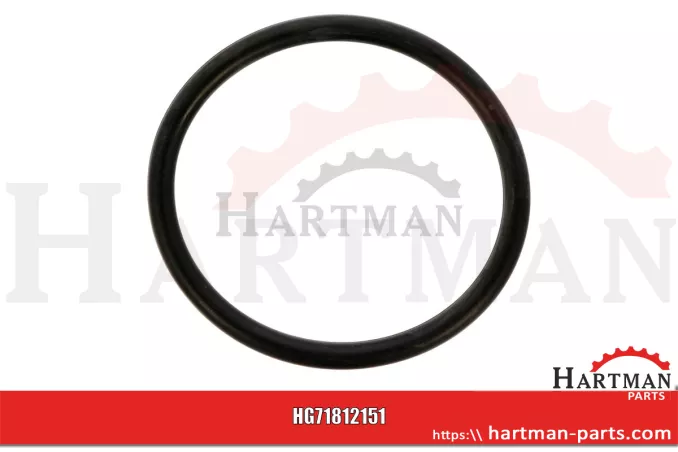 Oring T19687