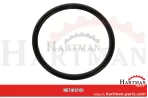 Oring T19687
