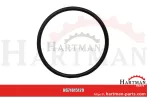 Oring 1023050M1, 1006234M1, 70923580, 372962X1,70923580