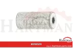 STRONA Massey Ferguson: 188148M1
