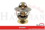 Termostat J928639,47626493