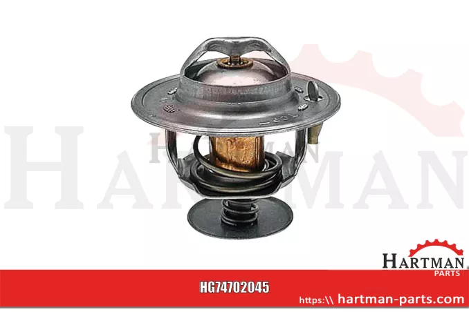 Termostat 218039A1