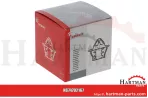 Termostat 3059676R92,3059676