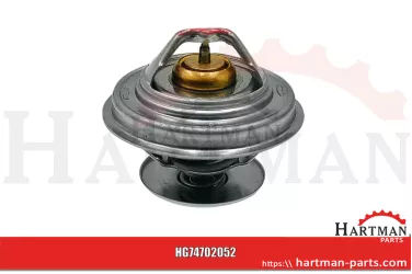 Uszczelka 132000060720,132000060720