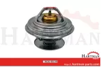 Uszczelka 132000060720,132000060720