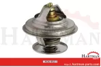 Termostat temperatura otwarcia 87°C 04224846