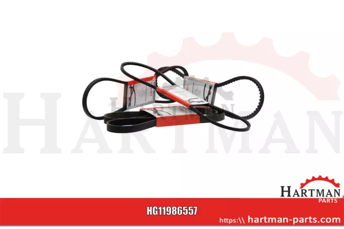 Pas klinowy rowkowany F404200040020