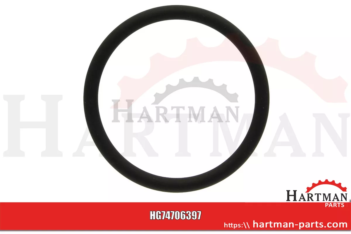 Oring do króćca obudowy termostatu F119200050090,04200582