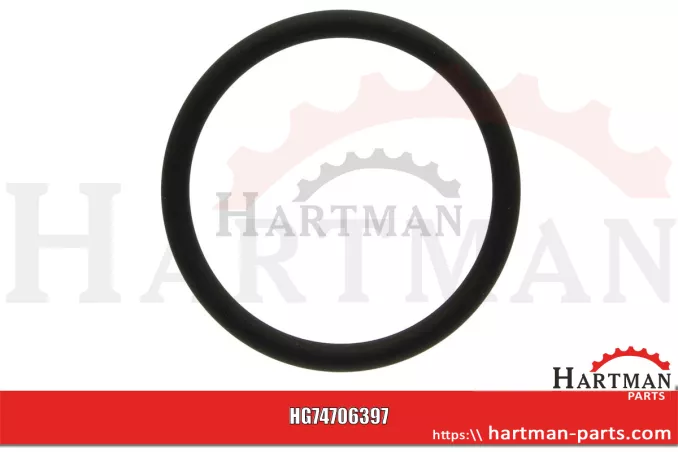 Oring do króćca obudowy termostatu F119200050090,04200582