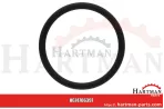 Oring do króćca obudowy termostatu F119200050090,04200582