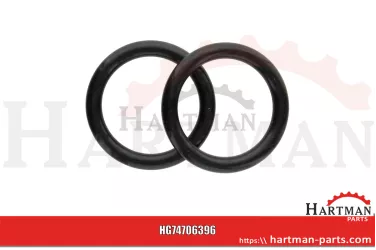 Oring do króćca obudowy termostatu F119200050090,04200582