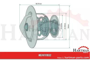 Termostat 98463637,98463637
