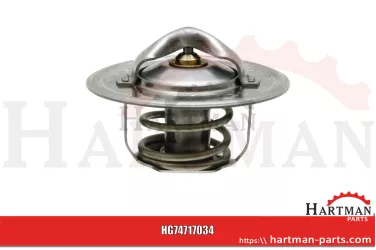 Termostat 83916916