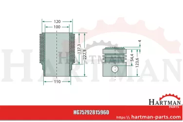 Zestaw naprawczy silnika 3 pierścienie, Ø 100 mm Ø sworznia: 35 x 80 m