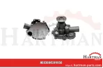 Wasserpumpe U45017952