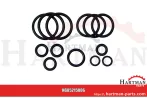 Zestaw uszczelek do rozdzielacza 3790036M2, 3790025M2 3790027M11