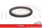 Uszczelka do przyłącza kołnierzowego 3″ 04002146