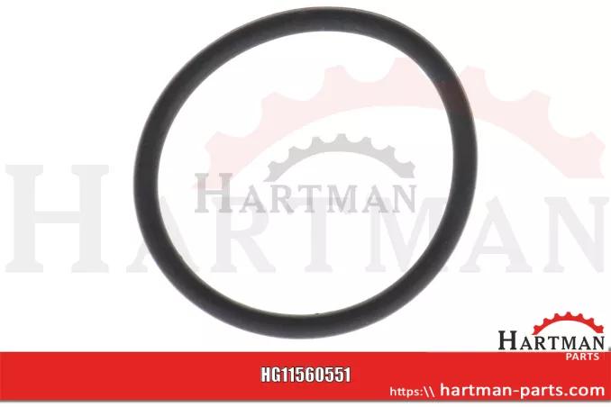 Uszczelka - korek spustowy 04003618