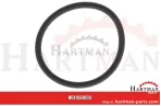 Uszczelka - korek spustowy 04003618