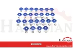 Nakrętka bagnetowa SW 10 niebieska stary 0652045604, 0652025604, 06520